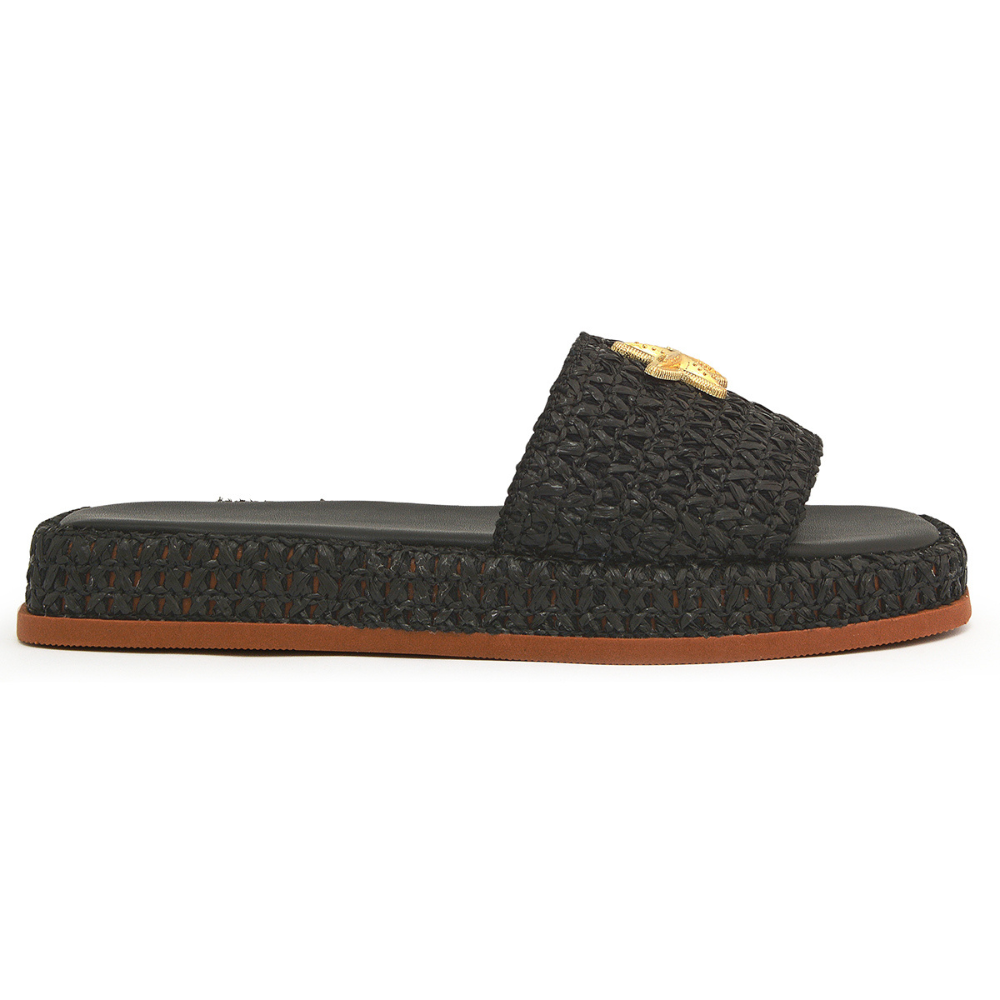flat-estrela-preta