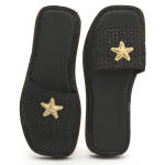 flat-estrela-preta3
